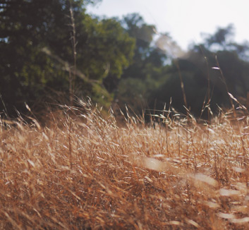 威尔士逼平对手，半途而废遗憾告负