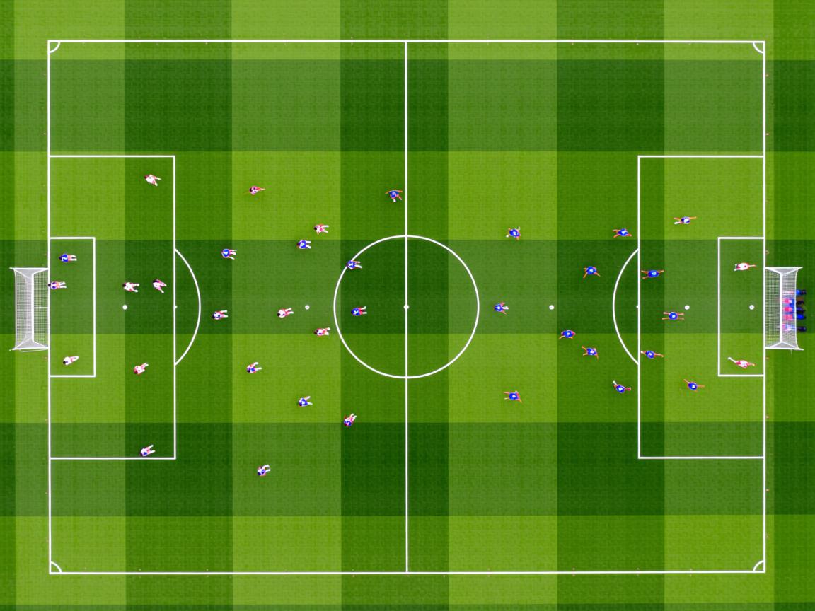 开云体育app入口-加拿大队赛制深度解析：如何利用赛制提高整体竞技水平，加拿大落选赛阵容