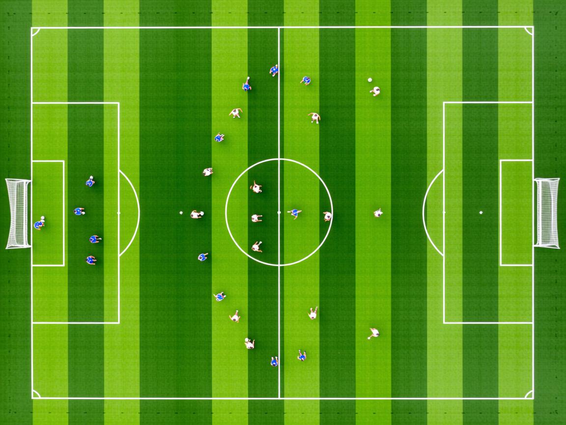 开云体育足球-女子仰泳美澳争霸 美国占先，澳大利亚女子仰泳  第2张